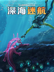 广州的衣服有多便宜